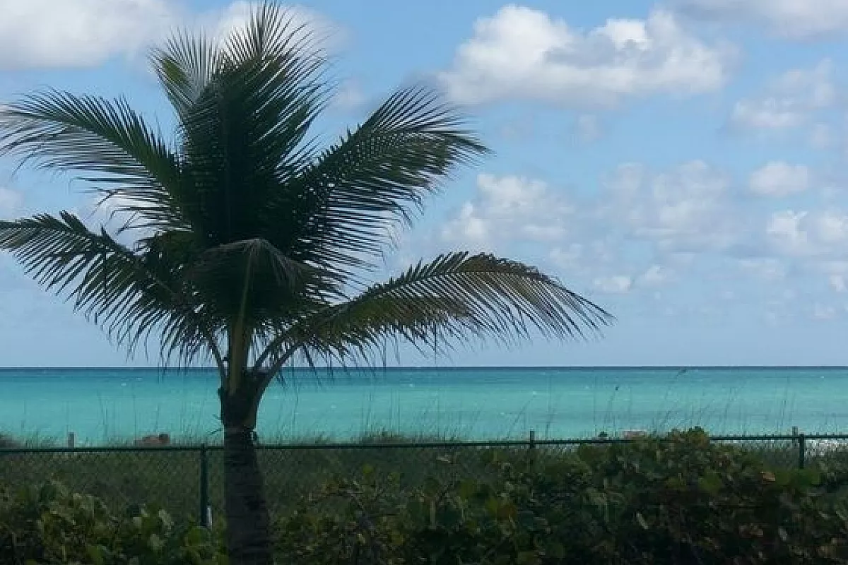Battezza l’Anno Nuovo con un tuffo nell’Oceano!