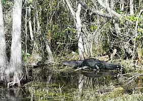 turistipercaso miami-miami-beach-mare-77ucr