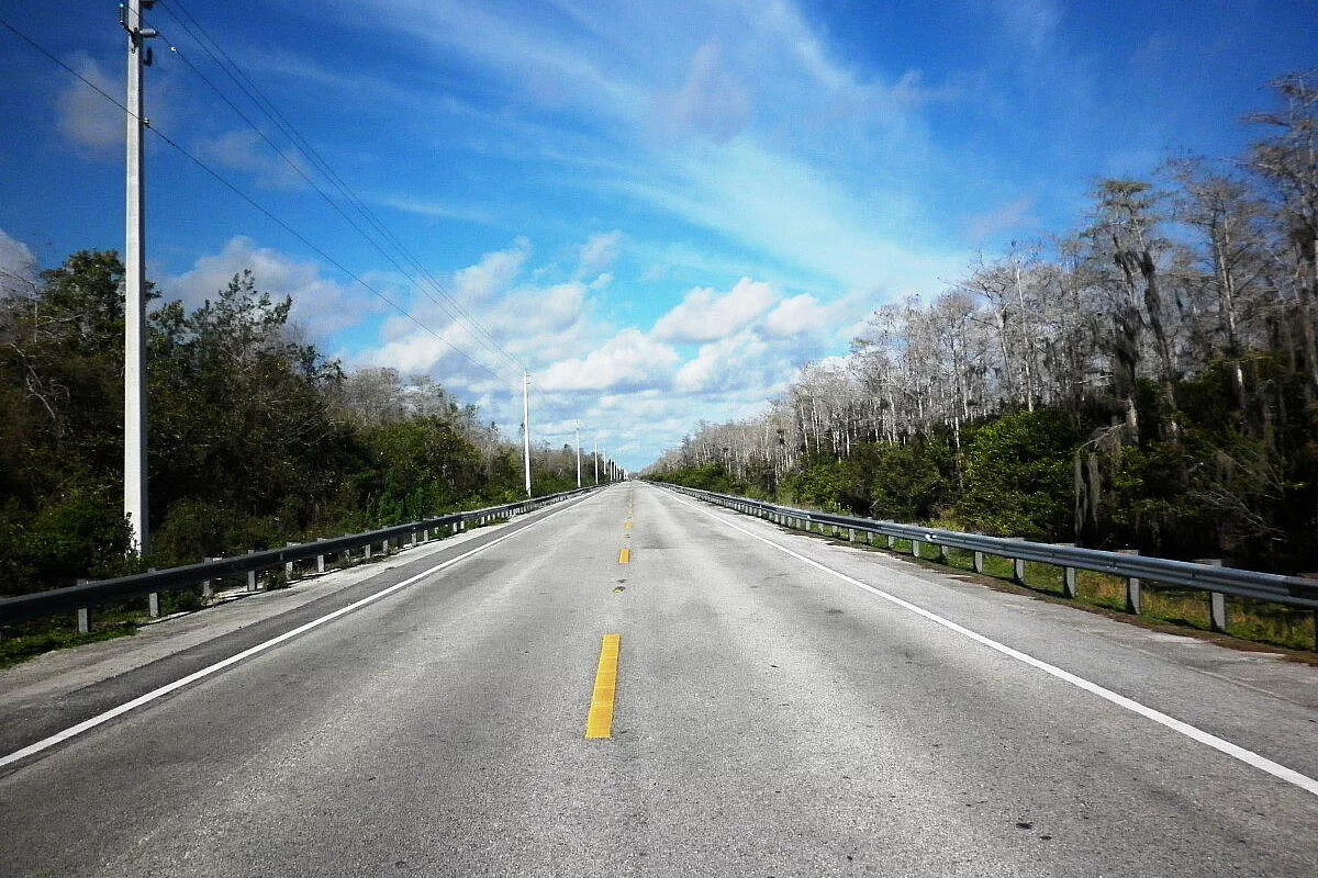 Florida 2011