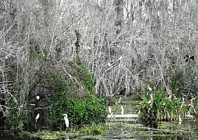 turistipercaso miami-miami-beach-mare-xf85x