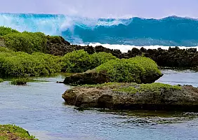 turistipercaso micronesia-2hayh