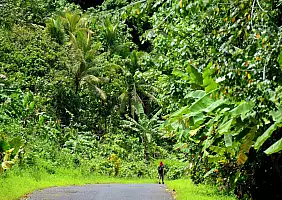 turistipercaso micronesia-2jmx5