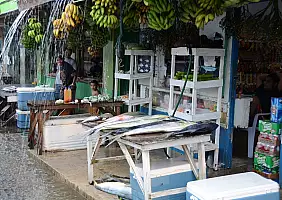 turistipercaso micronesia-huy2k