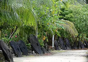 turistipercaso micronesia-xdxpg