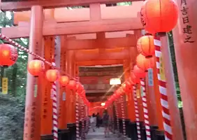 turistipercaso miyajima-79wa9