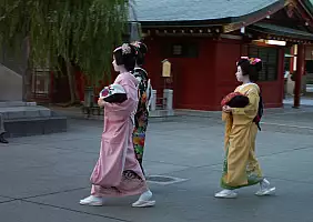 turistipercaso miyajima-8kv7b