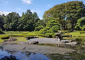 turistipercaso miyajima-c8vcp