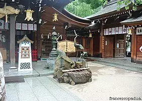 turistipercaso miyajima-efy2z