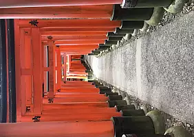 turistipercaso miyajima-ukpus