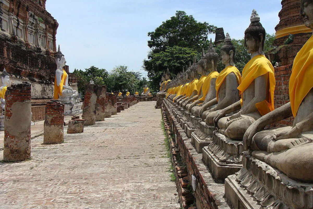 Lambratesi in thailandia