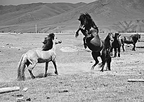turistipercaso mongolia-52rkk