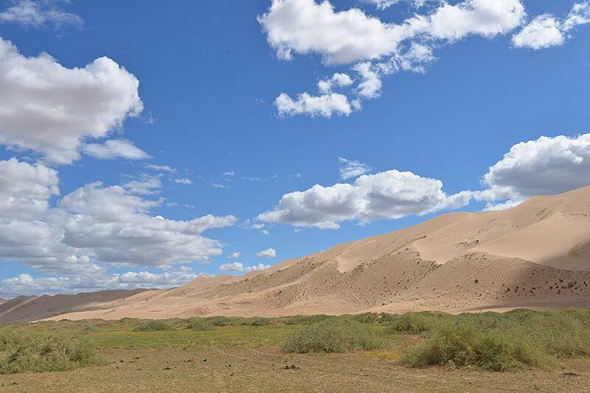 Dune