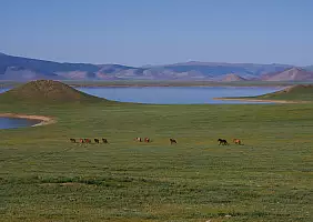 turistipercaso mongolia-bujes