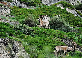 turistipercaso mongolia-k59e7