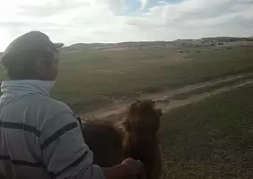 turistipercaso mongolia-mhzg2