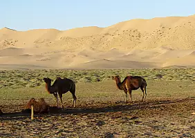 turistipercaso mongolia-mnbft