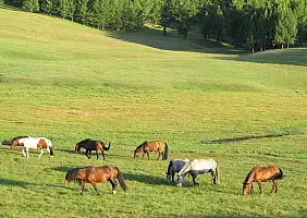 turistipercaso mongolia-natura-3exfs