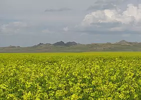 turistipercaso mongolia-natura-q8q1b