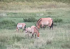 turistipercaso mongolia-natura-rerdb