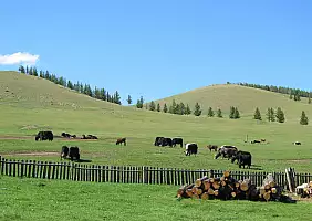 turistipercaso mongolia-natura-s9auk