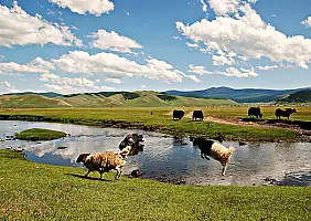 turistipercaso mongolia-xyx88