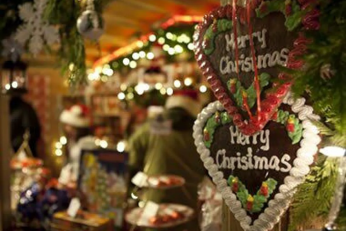 Alla ricerca dell’Albero di Natale preferito!