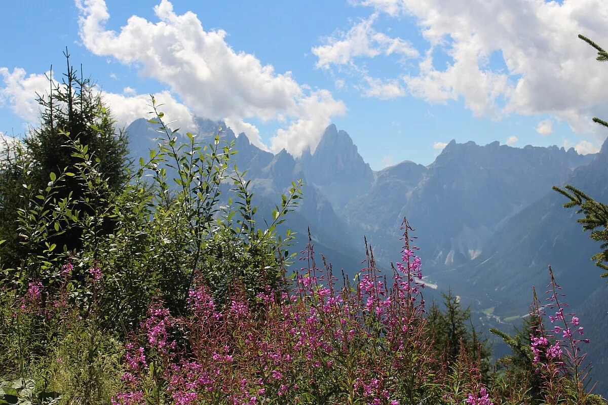 Monte elmo