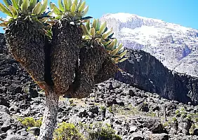 turistipercaso montagna-bvm4c