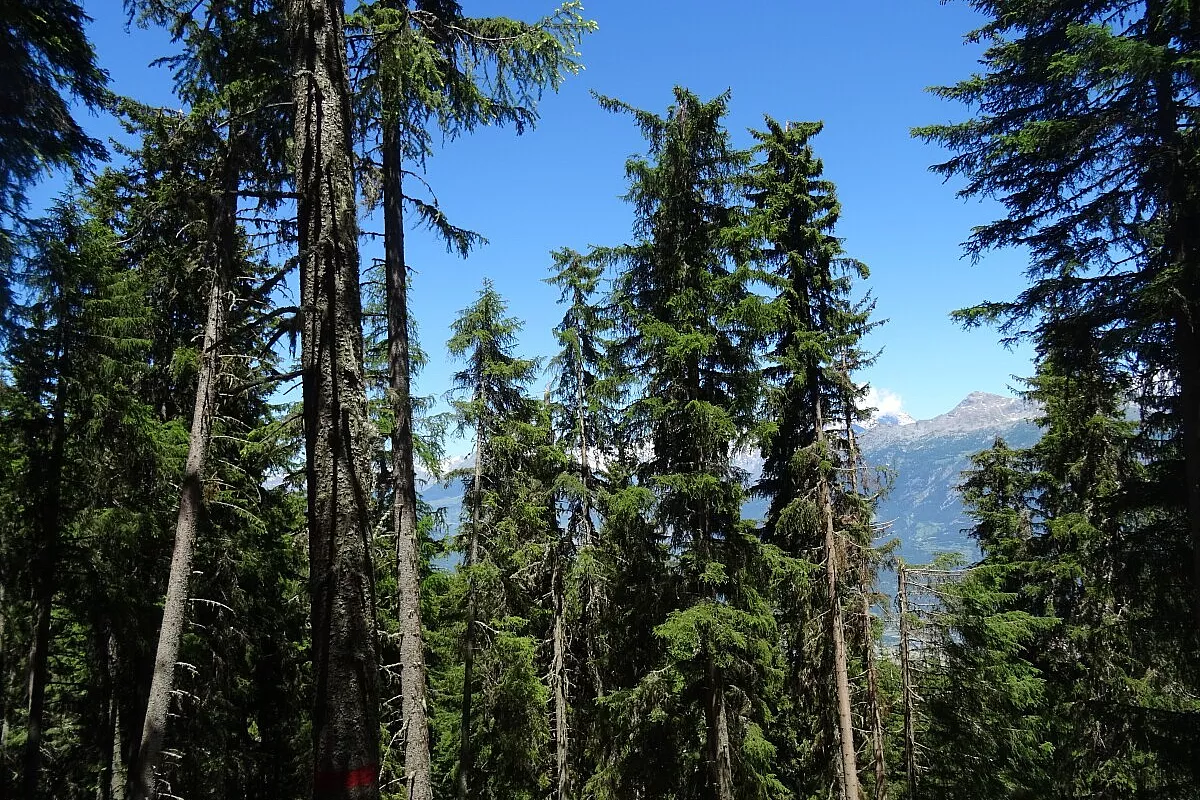 Pila una località montana perfetta per gli appassionati di bici da corsa e yoga