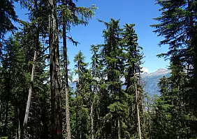 turistipercaso montagna-qgkg3