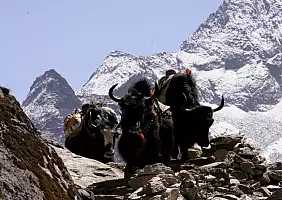 turistipercaso montagna-qk5aa