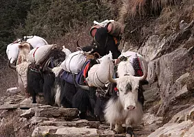 turistipercaso montagna-shkfn