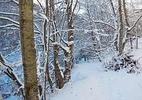 turistipercaso montagna-tpstd