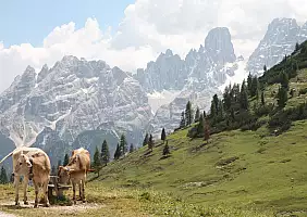 turistipercaso montagna-vegh7