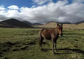 turistipercaso montagna-vu9sq