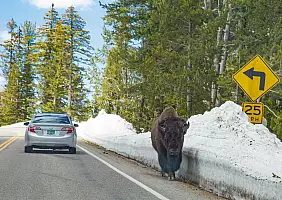 turistipercaso montana-fmu2n