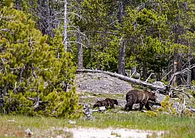 turistipercaso montana-tpu6v