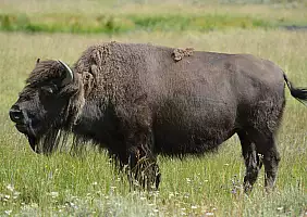 turistipercaso montana-v6r5u