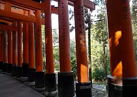 turistipercaso monte-fuji-1rgn3