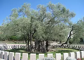 turistipercaso montenegro-country-dcgsp