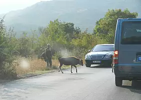 turistipercaso montenegro-p9z5s