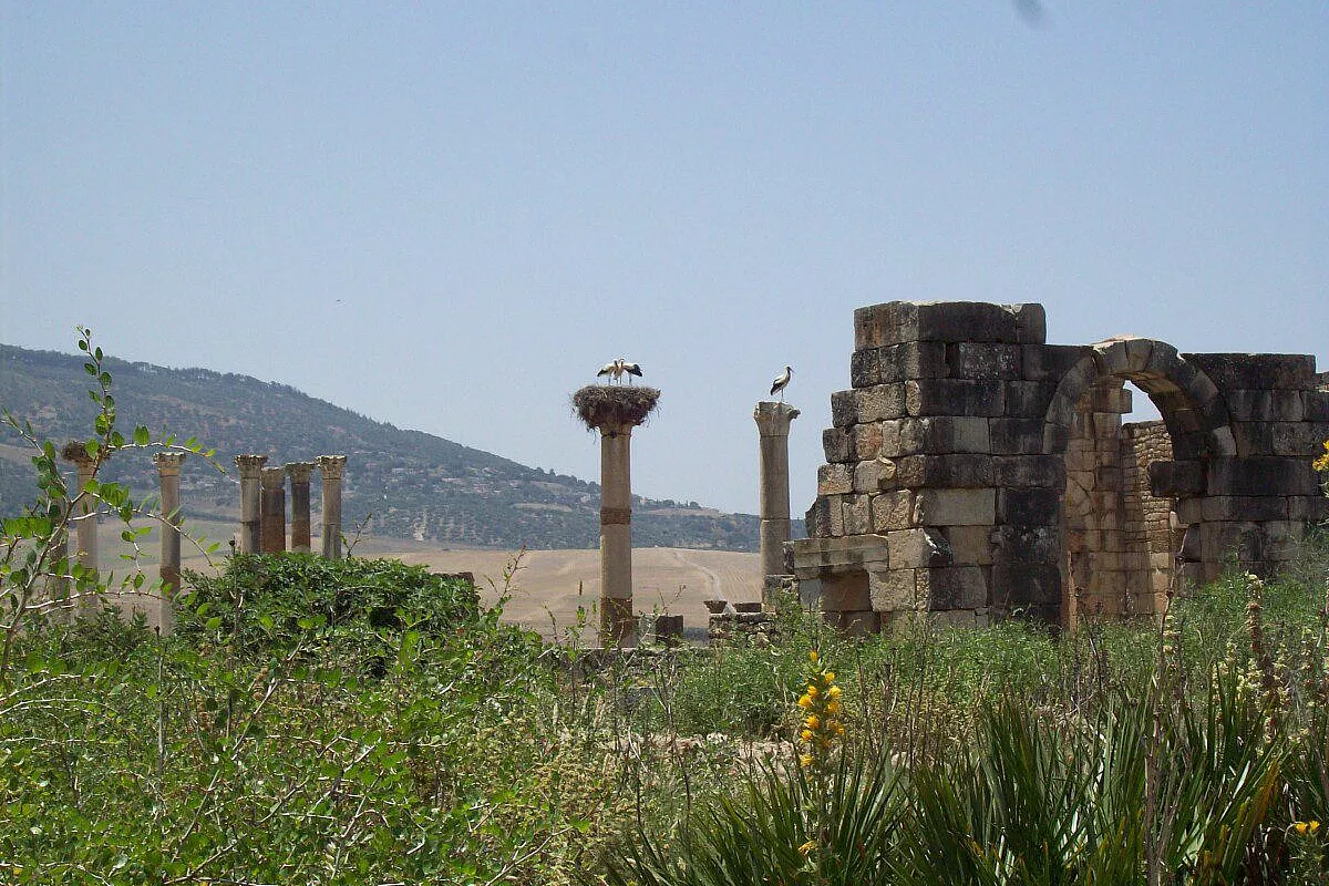 Fes