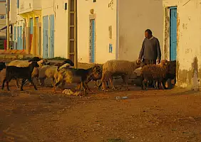 turistipercaso morocco-8bape