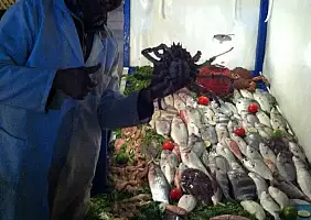 turistipercaso morocco-ad27d