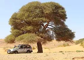 turistipercaso morocco-hkfmq
