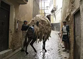 turistipercaso morocco-nwzd1