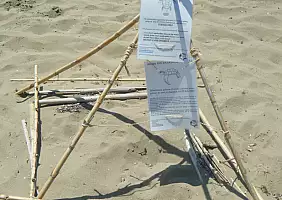 turistipercaso moto-cagnp