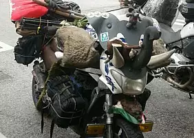 turistipercaso moto-ytxay