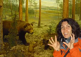 turistipercaso murmansk-nugxs