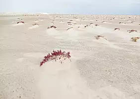 turistipercaso musandam-djt91